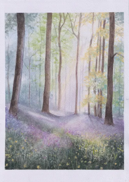 Jacinthes des bois