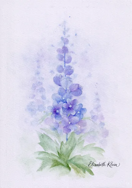 Delphiniums