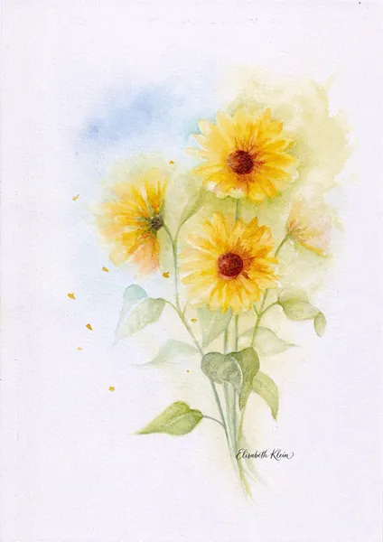 Tournesols